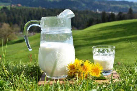 Milk in a jug and two glasses on a green meadowの写真素材