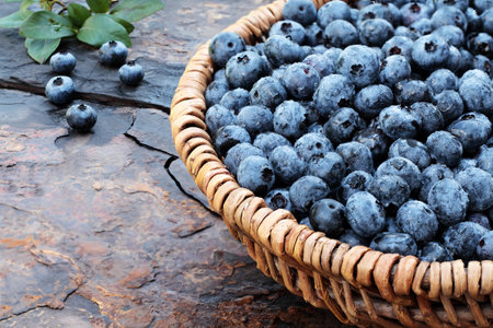 Fresh picked organic blueberries  in a woven basket on a rustic slate background. Shallow depth of field.の写真素材