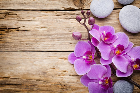 Pink orchid with buds. Greeting card.の写真素材