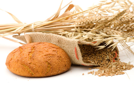 golden wheat and studio isolatedの写真素材