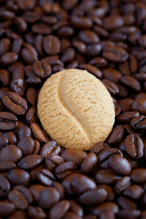 Coffee bean cookie on coffee beans, selective focusの写真素材