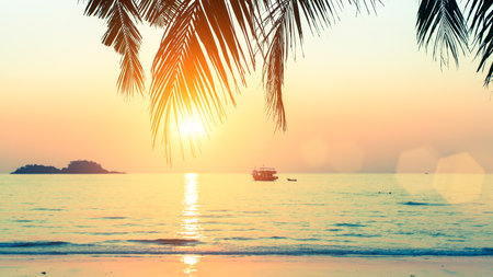 Sunset at tropical sea coast.の写真素材