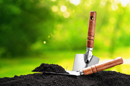 Garden tools on natural backgroundの写真素材
