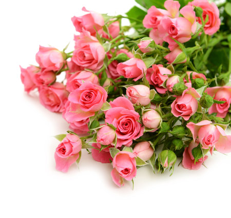 Bouquet of pink roses isolated on white background. Shallow dof.の写真素材