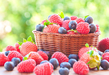 Fresh berries in a wicker basket on a wooden table in the gardenの写真素材