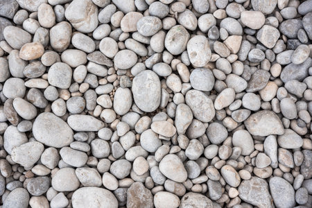 Background ot texture made of gray pebblesの写真素材