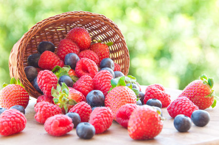 Ripe berries in a wicker basket on a wooden table in the gardenの写真素材