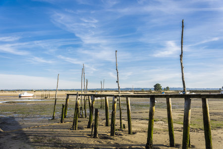 Wooden jetty on the beach at low tide with blue skyのeditorial素材