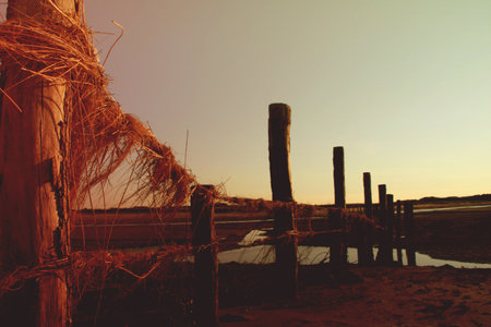 Sunset on the beach in San Pedro de Atacama, Chileのeditorial素材