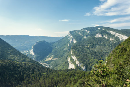 View of the mountains and the forest on a sunny summer day.