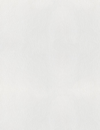 White paper texture or background. High quality texture in extremely high resolution.のeditorial素材