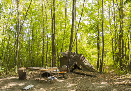 Camping in the forest on a sunny day. Summertime.のeditorial素材