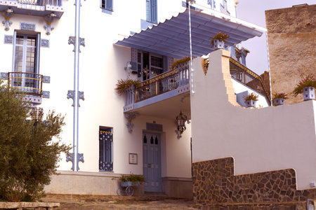 Houses in town of Santorini, Greece