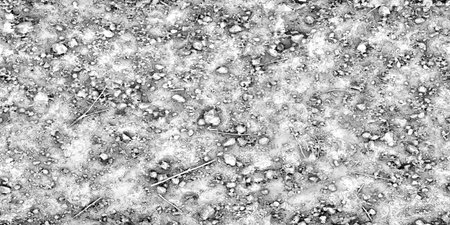 Black and white texture of the ground. Abstract background for design.のeditorial素材