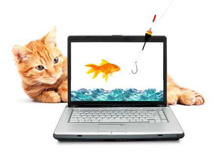 Cat fishing with a fishing rod and goldfish on a white backgroundのeditorial素材