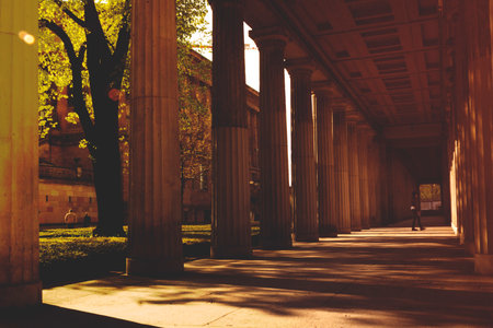 Pillars in the park at sunset. Perspective view of the columnsのeditorial素材