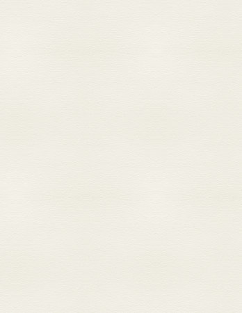 White paper texture or background. Seamless square texture, tile ready. High resolution photo.のeditorial素材