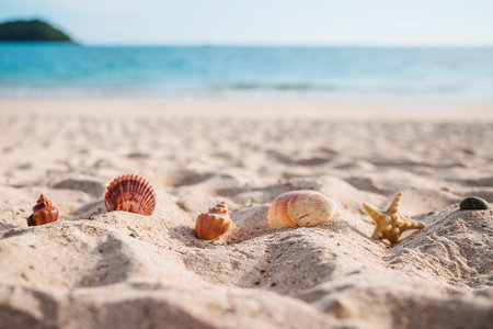 Seashells on the sand beach with sea and sky background
