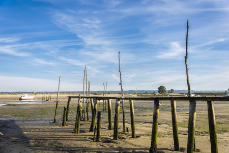 Wooden pier at low tide with blue sky in the background.のeditorial素材