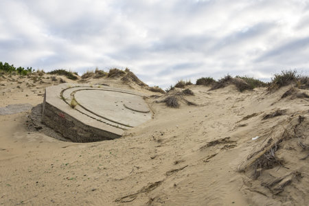 Sand dunes on the North Sea coast in Zeeland, Netherlandsのeditorial素材