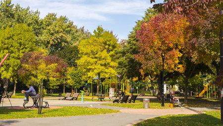 Autumn park with colorful trees, benches and children's playground.のeditorial素材