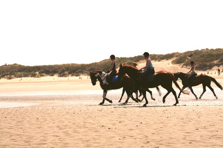 Group of young people riding horses on the beach in the morning.のeditorial素材