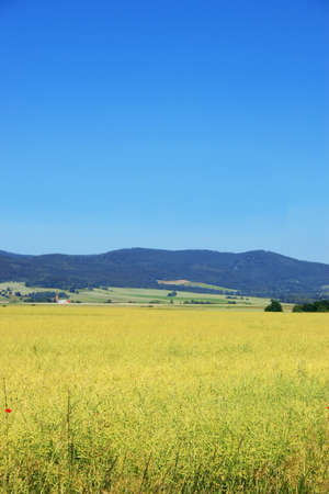 Green mountain fields