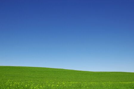 field and sky