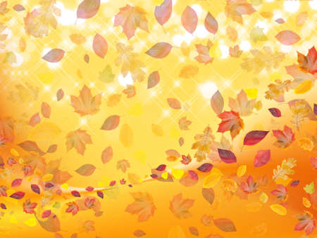 whirled fall leafs on colorful backgroundの写真素材