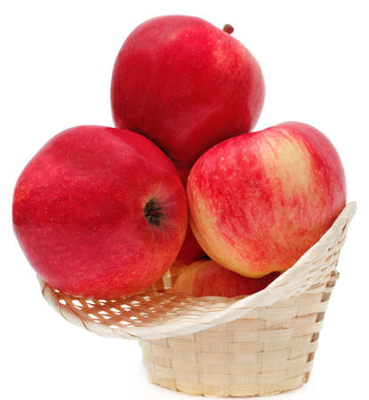 apples in a basket on white background の写真素材