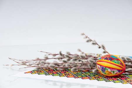 pussy-willow twigs with Easter eggs isolated on white