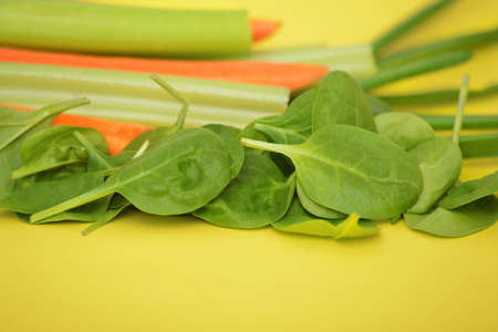 Fresh green celery, onion, spinach and carrots on yellow backgroundの写真素材
