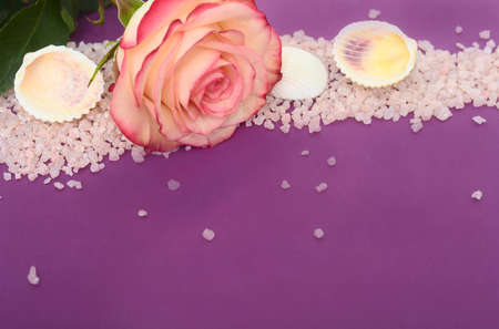 Seashells, rose and orchid flower on seasalt over purple background. Copyspace.の写真素材