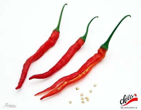 Chili pepperの写真素材