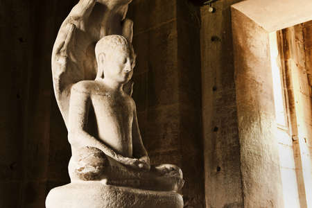 Agriculture field in Thailandの写真素材