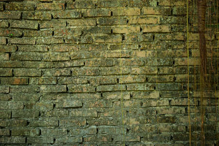 Brick wall background and textureの写真素材