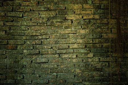 Brick wall background and textureの写真素材