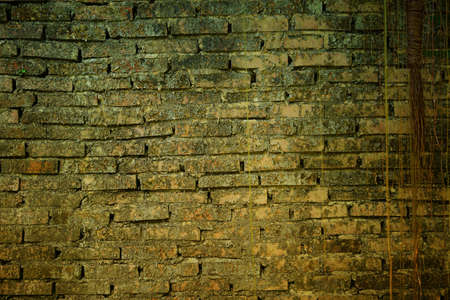 Brick wall background and textureの写真素材