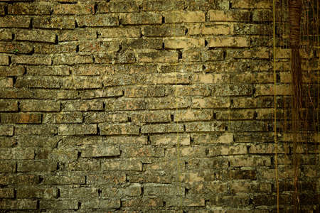 Brick wall background and textureの写真素材