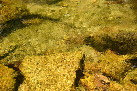 The surface of a small lake water reflectの写真素材