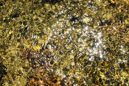 The surface of a small lake water reflectの写真素材