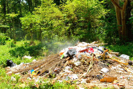 Burning garbage in the forest that make smoke pollution into nature and airの写真素材