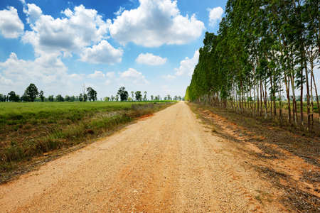 Rural road in Thailandの写真素材