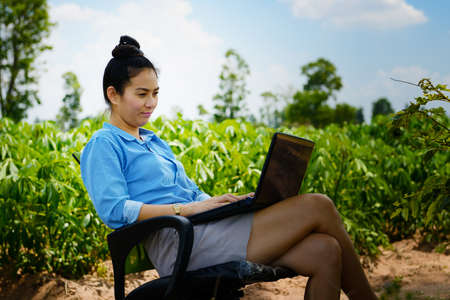 Business woman using laptop in the fieldの写真素材
