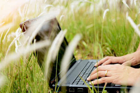 Hands using laptop in green fieldの写真素材