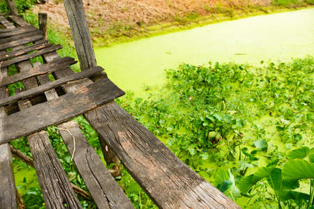Wooden bridge over little canalの写真素材