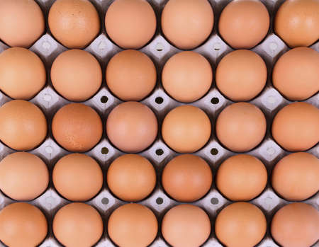 Eggs in egg box