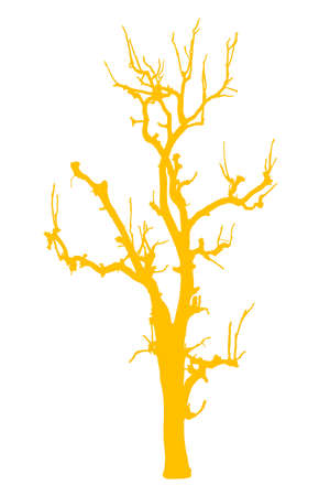 Dead tree in yellow colourの写真素材