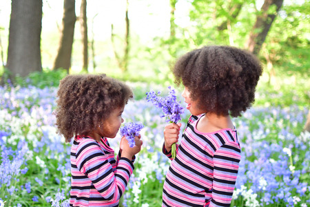 African American sisters are playing in the parkcurly African American sisters in dance dresses on the grass and bushes of lilacの写真素材