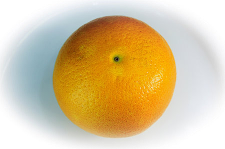 orange. orange close up on white background. citrus. tropical fruit. sweet fragrant delicious orangeの写真素材